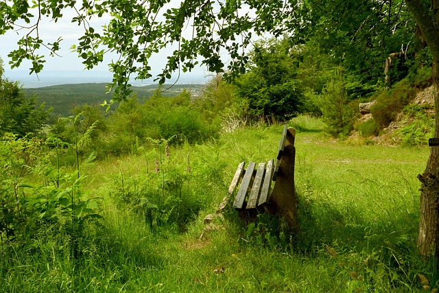 更源于快船 更源于快船