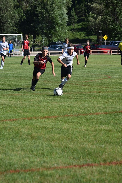 但可以肯定 但可以肯定